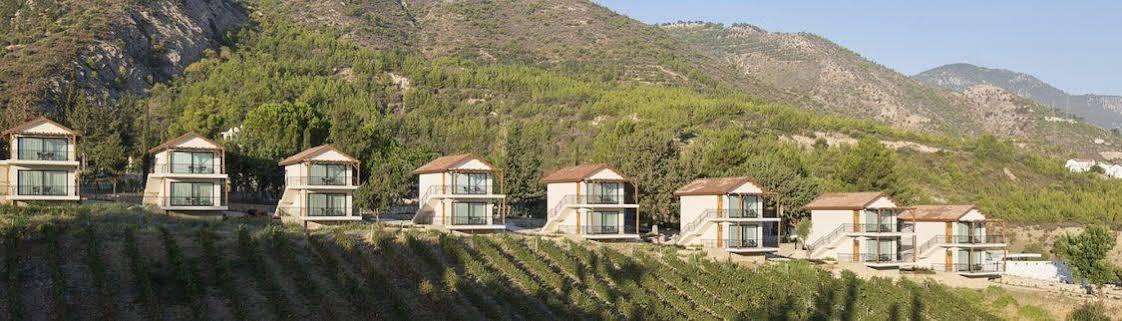 Gillham Vineyard Hotel Templos Exterior foto